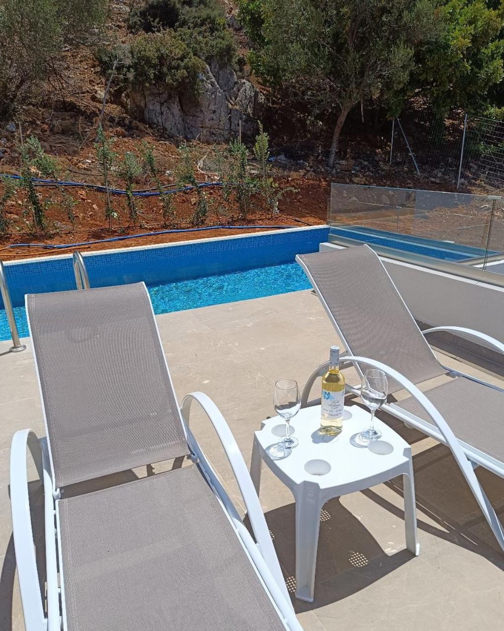 Isabel Artemis Crete - Luxury Sea Views Villas Nopigia Exterior photo